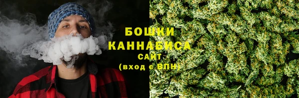 прущие крисы Няндома