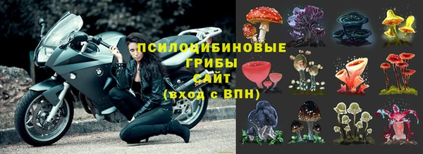 spice Нягань