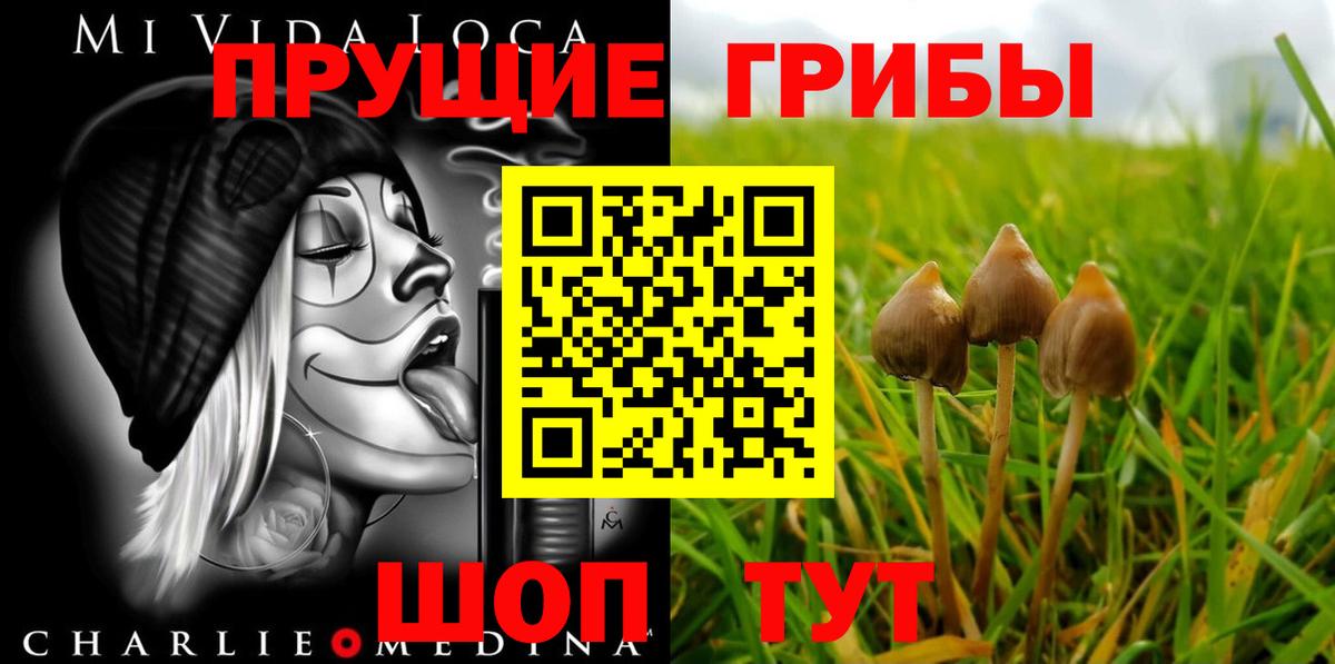 Асбест  как найти закладки  Вход с VPN  Галлюциногенные грибы мухоморы  Псилоцибиновые грибы Magic Shrooms 