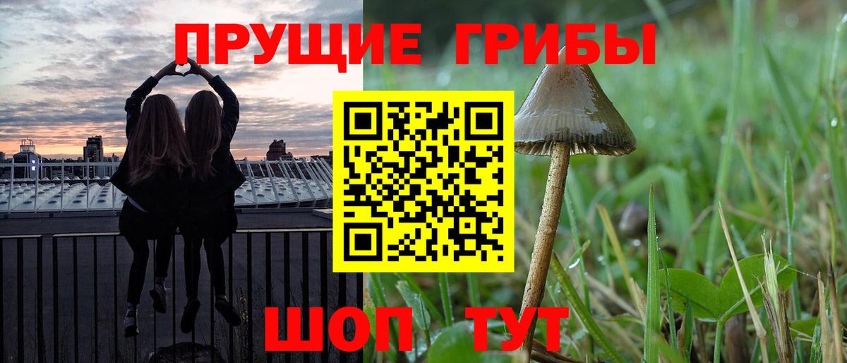 Псилоцибиновые грибы прущие грибы Асбест