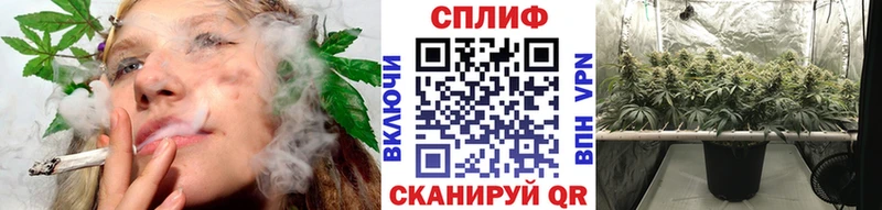 Шишки марихуана MAZAR  Асбест 